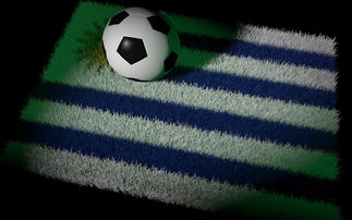 开云官方网站-中国足球国家队备战世界杯预选赛全面展开，中国足球队 世界杯预选赛